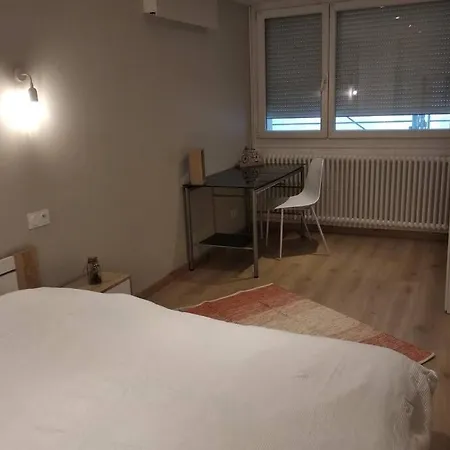 Appartement T2 Refait à Neuf Au Coeur De