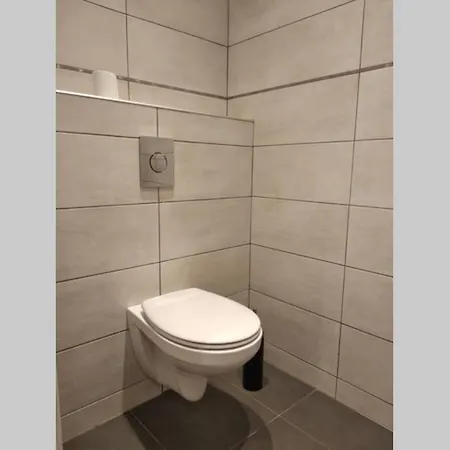 Appartement T2 Refait à Neuf Au Coeur De